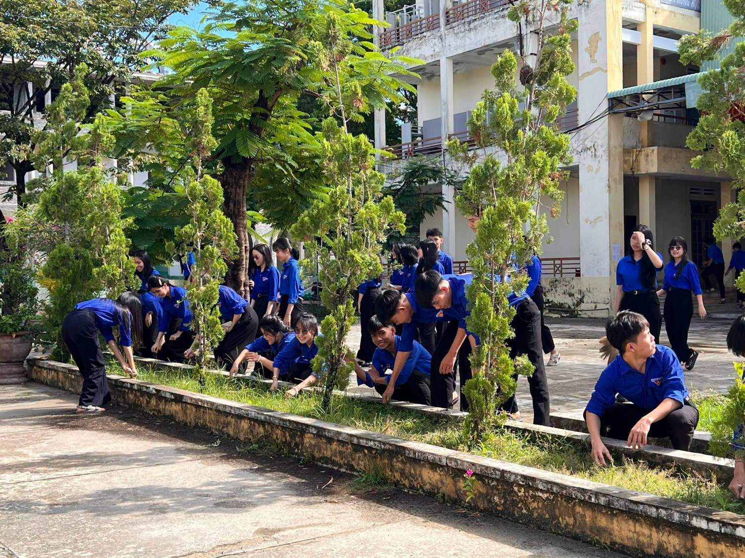 ĐOÀN TRƯỜNG THPT TIỂU LA RA QUÂN “NGÀY CHỦ NHẬT XANH” – CHUNG TAY ĐÓN NGÔI TRƯỜNG MỚI – ảnh 5