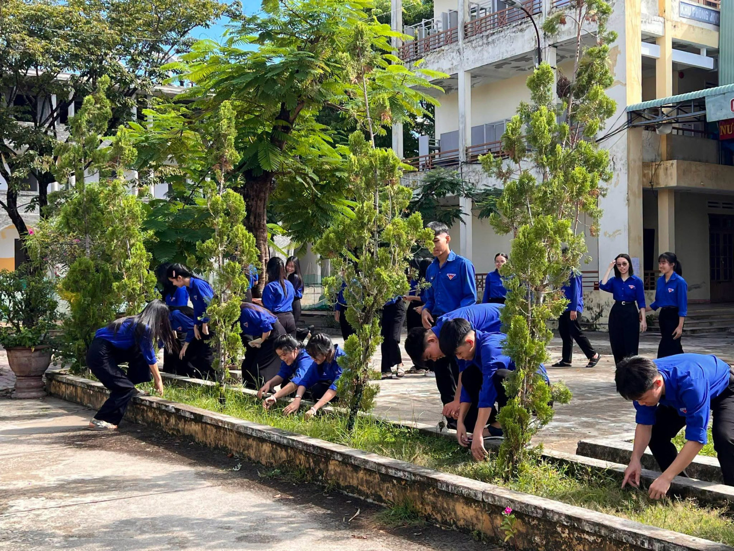 ĐOÀN TRƯỜNG THPT TIỂU LA RA QUÂN “NGÀY CHỦ NHẬT XANH” – CHUNG TAY ĐÓN NGÔI TRƯỜNG MỚI – ảnh 14